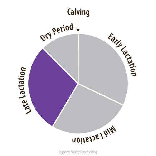 Maintain Pellets - Image 2