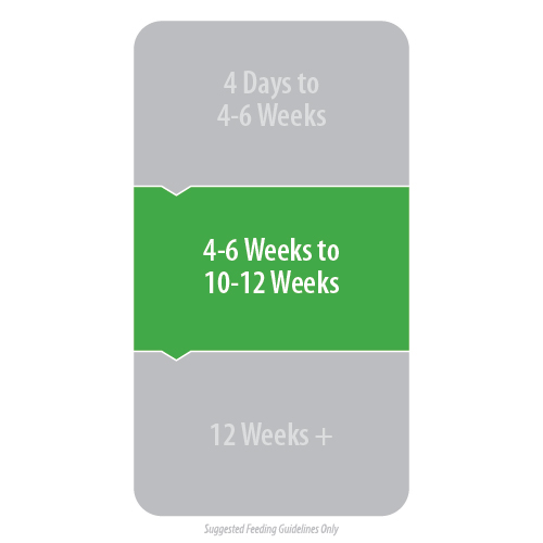 Calfway 16 Pellets - Image 2