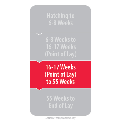 Organic Hi-Spec Layer Pellets - Image 2