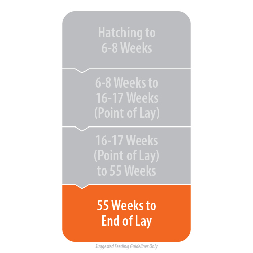 Organic Poultry Layer Pellets - Image 2