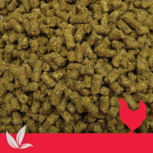 Organic Hi-Spec Layer Pellets