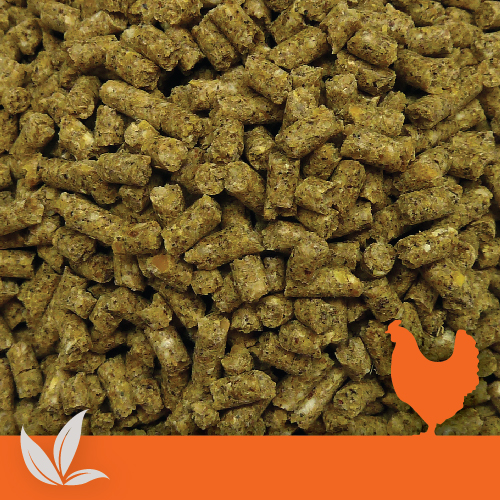 Organic Poultry Layer Pellets
