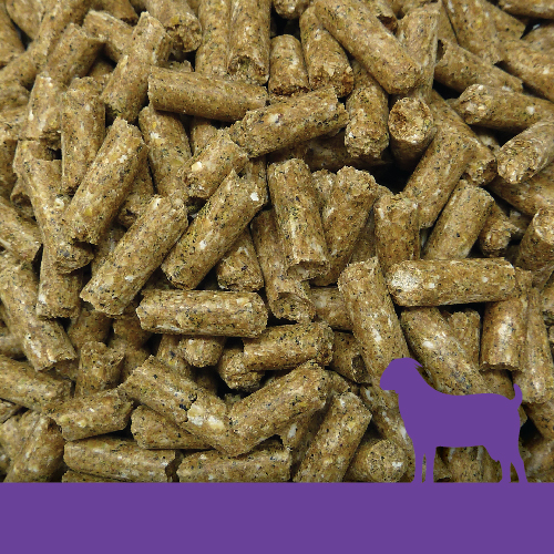 Goat Pellets