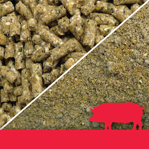 Pig Pellets